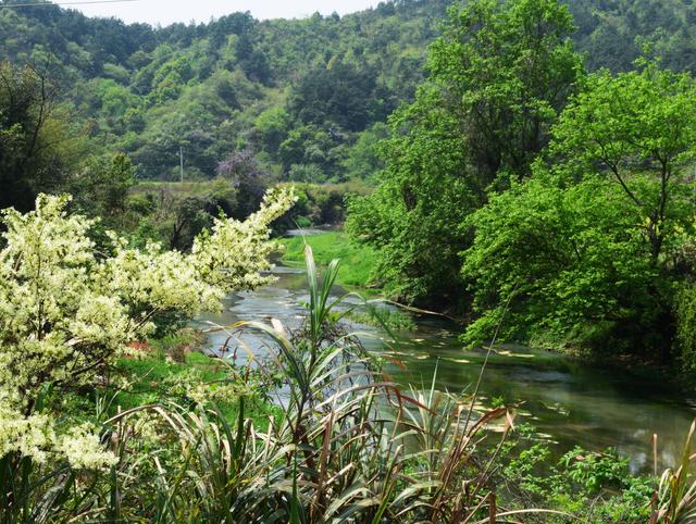 再游桃花源和桃花源记的思想感情有什么不同，中学经典美文《桃花源记》的主题思想辨析