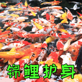 皇室战争传奇宝箱，皇室战争传奇卡怎么获得（盘点皇室战争中的玄学开箱）