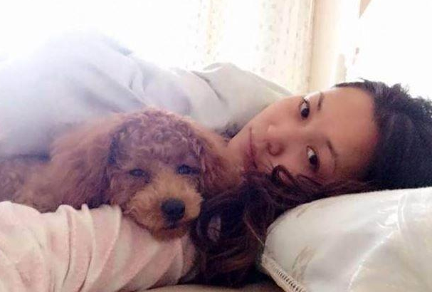 泰迪是什么意思，泰迪摇尾巴是什么意思（现在才知道泰迪犬这几个动作）