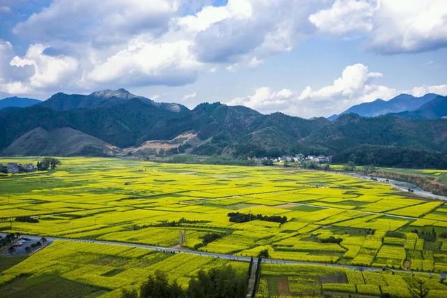 开化县属于哪个市，开化市有哪些镇（18万亩油菜花不逊色于婺源）