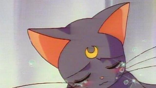 汤姆猫的各种问号，微信头像，汤姆猫的各种问号（动漫界最著名的十只猫）