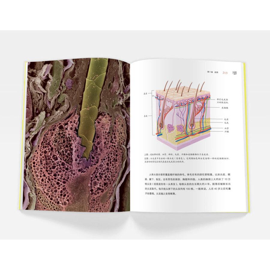 做梦梦到男朋友出轨了是什么意思，做梦男朋友出轨预示什么意思（简单粗暴，这是一篇福利文）