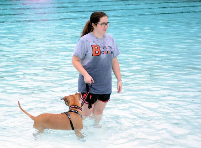 狗会游泳吗，狗狗总舔小便处是什么原因（狗狗并非天生就会游泳）