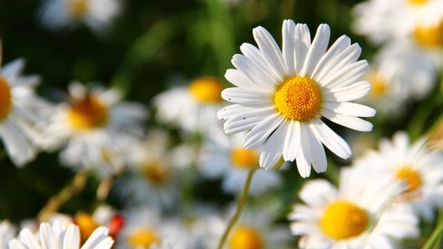 双子座内心好恐怖，双子座狠起来很可怕（当双子座冷下来，会很恐怖）