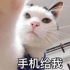 怎么一边投屏一边玩手机，投屏神器怎么边看电视边玩手机（小白也能快速学会的手机投屏方法）