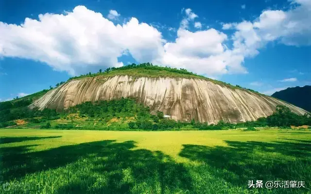 肇庆市各区面积排名，肇庆哪个县最大，哪个县最小