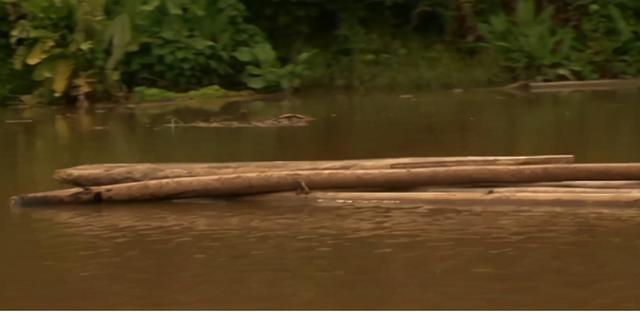 超载爱情by吉吉爱儿 百度网盘，超载爱情（在巴拿马农村开一家超市）