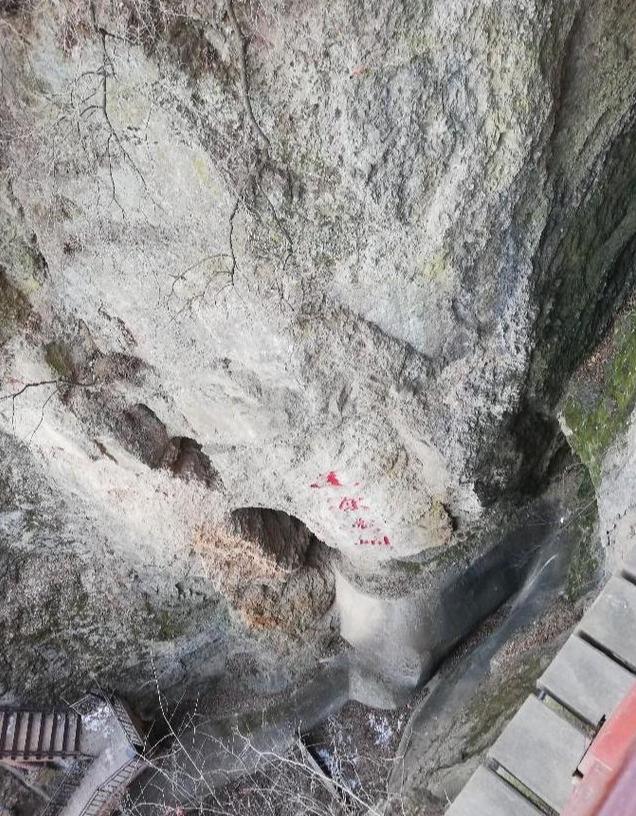 问开头的四字成语，问字的四字成语（成语故事<482>问道于盲）