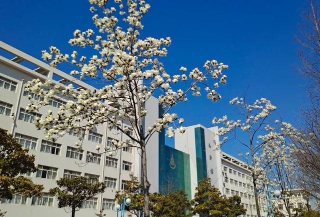 青岛黄海学院是公办还是民办，青岛黄海学院怎么样环境好吗（青岛黄海学院2021年招生简章发布）