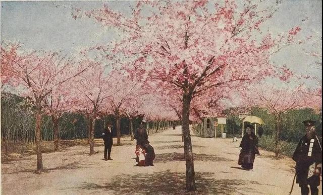 青岛景点排名一览表，青岛旅游景点大全（青岛旅游景点大全排名）