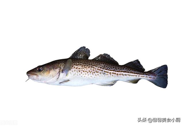 如何把蒸鳕鱼做的更美味，蒸鳕鱼怎么做好吃又简单（清蒸鳕鱼的家常做法）