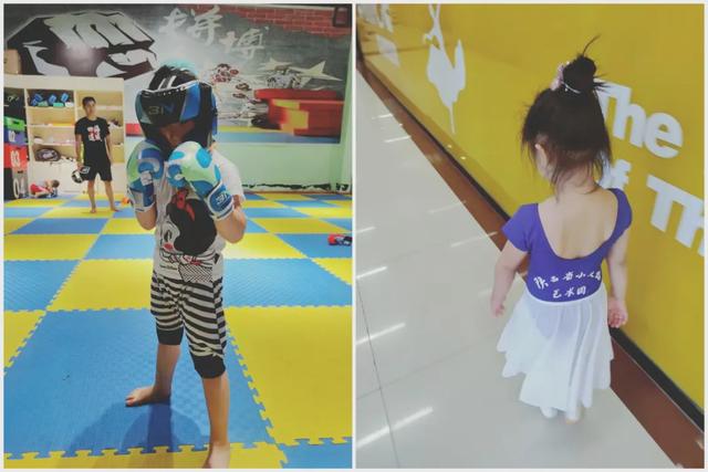 散打和自由搏击哪个更实用，自由搏击和散打哪个杀伤力大（搏击、武术、散打、跆拳道）