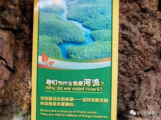 珠海长隆游玩攻略，珠海长隆游玩攻略图（带娃去珠海长隆该怎么玩）