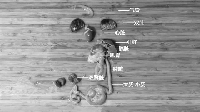 鸽子喜欢吃什么，家养的鸽子吃什么（23年一级大厨专业详细讲解）