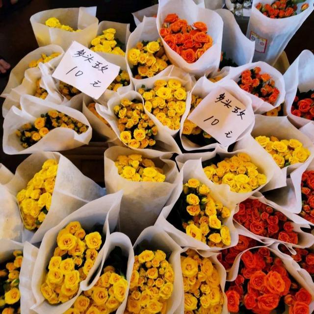 荷花最好看的品种是什么，这花最好看、最好养