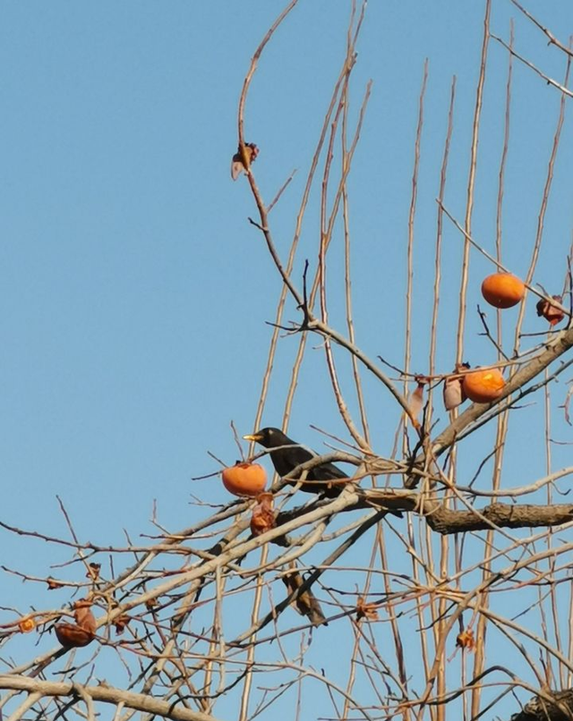 2021年邯郸学院新生宿舍条件图片环境怎么样，有独立卫生间吗（邯郸学院：招生多）