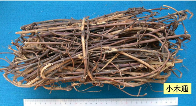 犀角香为什么被禁,犀角香有什么作用(那些被《中国药典》踢