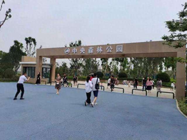 济南中央森林公园（原济钢）打卡攻略，实探多图，在雪山片区北邻