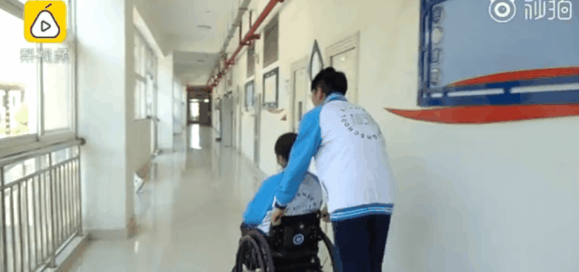 团宠是什么意思，团宠体质是什么意思（全年级男生每天组队守护她…）