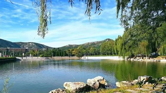 山东师范大学2021级本科新生大数据，厦门潍坊人数遥遥领先（山东师范大学2021年本科录取通知书正式发布）