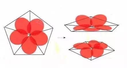 花蕾和花蕊有什么区别，花与花蕾的区别（花朵与花苞的处理）