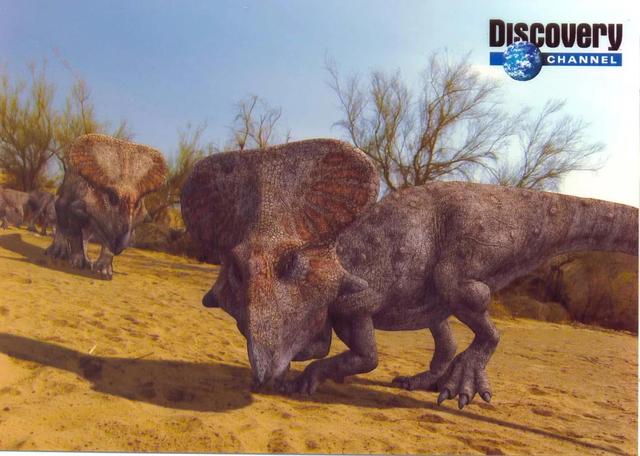 加斯马吐龙是鳄鱼吗，加斯马吐龙（历史上的恐龙时代是怎样的）