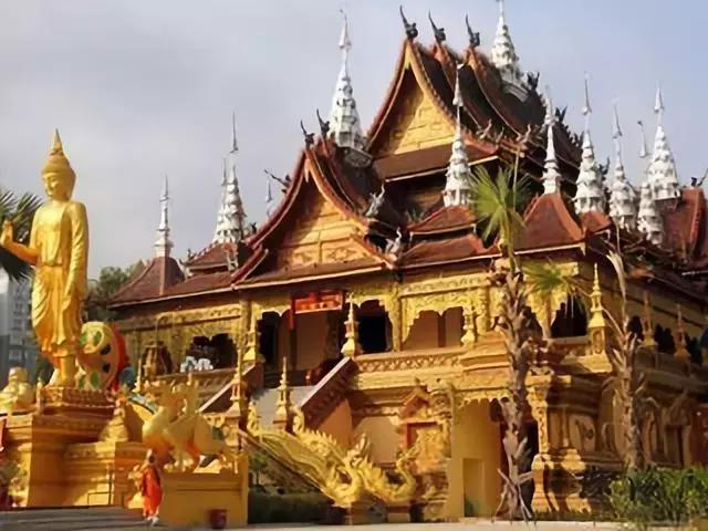 树木名称，知识，铁刀木与铁力木的区别（100种树木名称）