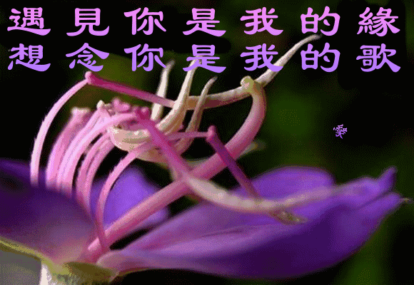 好想牵住你的手晓依，一首《好想牵住你的手》送给最想念的你