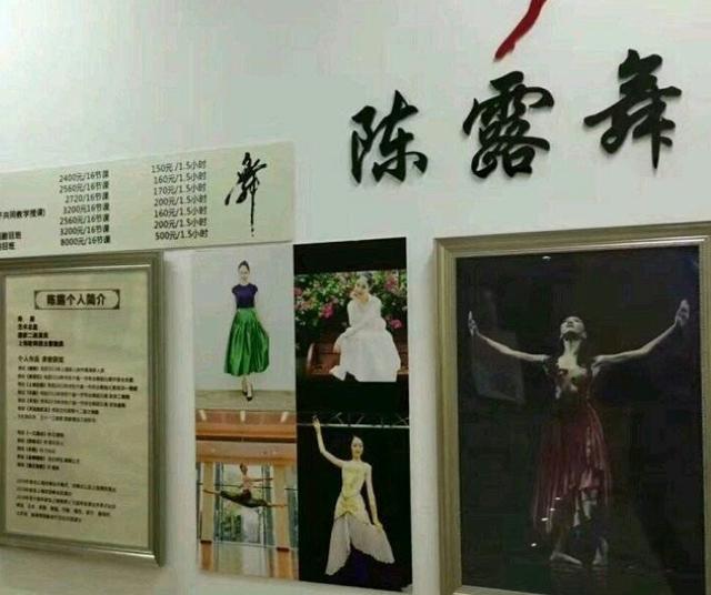 作家陈岚私信陈露闺蜜：不怕有报应？王萌：有罪法律会制裁我们的
