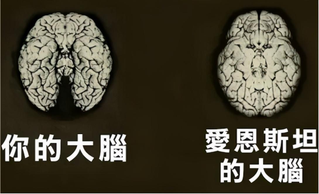爱因斯坦的成就，爱因斯坦一生中有哪些成就（诺贝尔公布爱因斯坦成绩单）