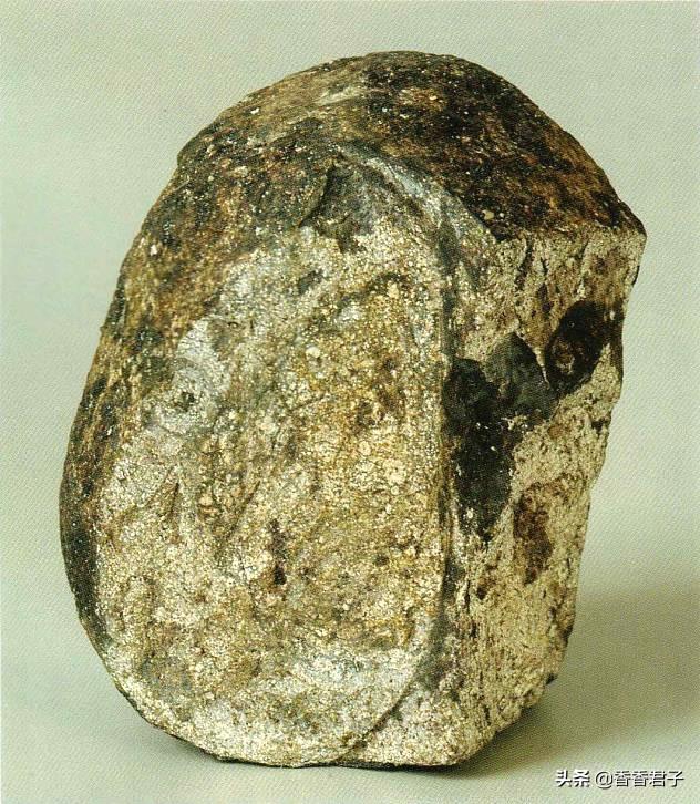 龙涎香怎么鉴别，龙涏香（排泄物却成了神秘而又昂贵的香料——龙涎香）