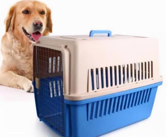 快递可以寄狗吗，顺丰托运宠物价格表（如何快递运输狗狗及运输宠物时的注意事项）