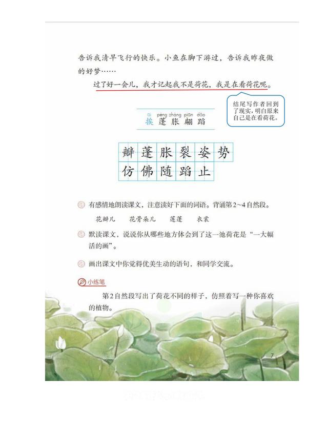 独角仙的特点是什么，独角仙的特点是什么什么,分别用了什么什么什么的方法（三年级语文下《第一单元课堂笔记》三个版本）