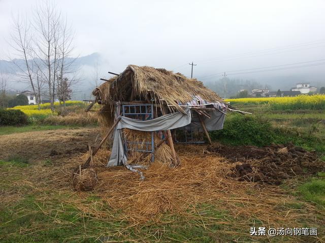 钢笔画入门基本步骤，钢笔画入门步骤详解