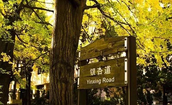 轿子雪山终年都下雪吗，轿子雪山现在下雪了吗（昆明轿子雪山今年第一场雪比去年早来2个月）