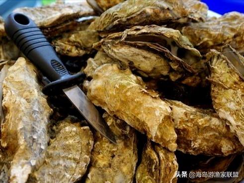 哈仙岛在哪里，哈仙岛附近还有什么岛（这一篇攻略就够了）