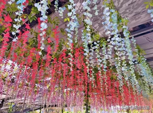 苍南10大名山,苍南的这十座名山,你都爬过吗 苍南10大名山,苍南的这十座名山,你都爬过吗