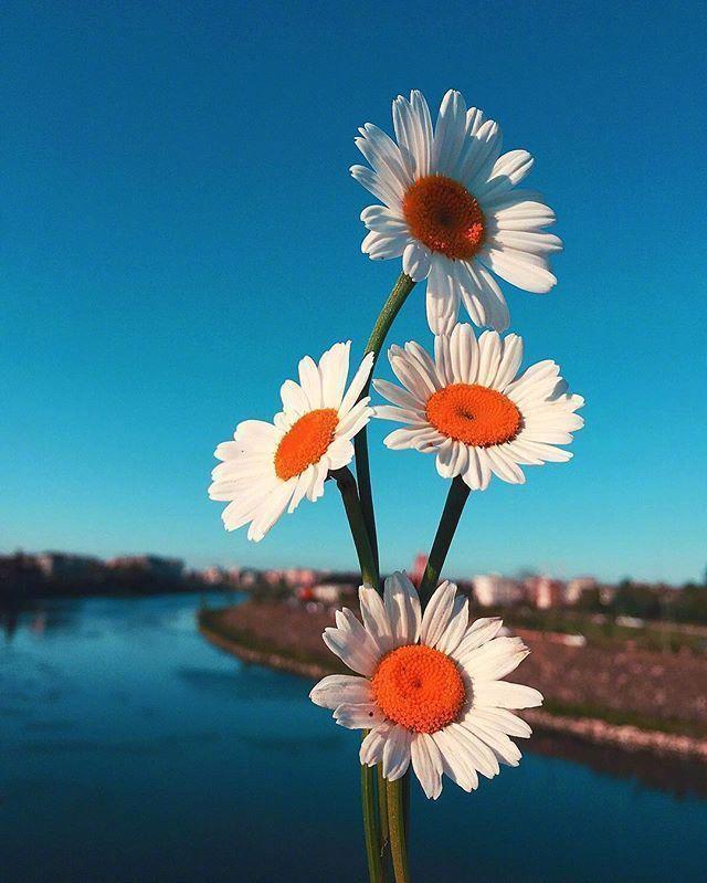 鼓励别人挣钱的话，鼓励别人挣钱的说说（早安心语赚钱感悟）