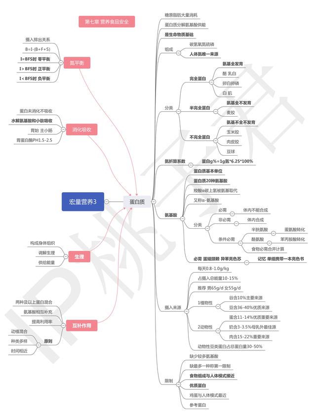 氮平衡的概念及分类，氮平衡的定义（《健康管理师三级》学习笔记）