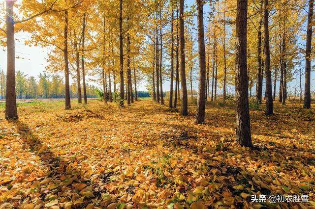 初冬是几月，初冬是几月在古代怎么形容（诗词里初冬美丽的别称）
