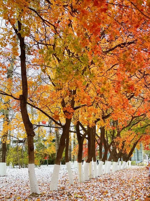 慌慌张张匆匆忙忙，匆匆忙忙慌慌张张是什么歌（慌慌张张，匆匆忙忙的一年）