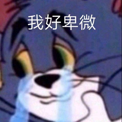 蔡徐坤代言纪梵希吗，纪梵希今年的蕾丝限定太好看