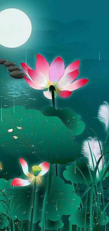 全屏手机壁纸，苹果手机动态壁纸下载 免费 全屏（36张精美无字迹图片）