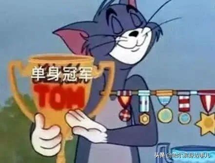 欧尼酱是姐姐的意思吗，欧尼是什么意思（那些A站、B站、C站、D站……H站、P站都是什么网站）
