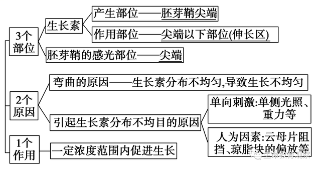 内环境的组成成分，内环境的组成成分含义（高三一轮复习必修三细节梳理和重点题型）