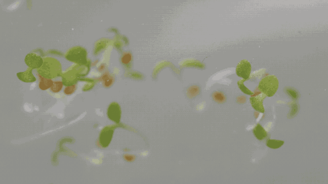 如何开启电脑防蓝光护眼呢，电脑如何关闭防蓝光护眼（我们把实验搬去了“太空”）