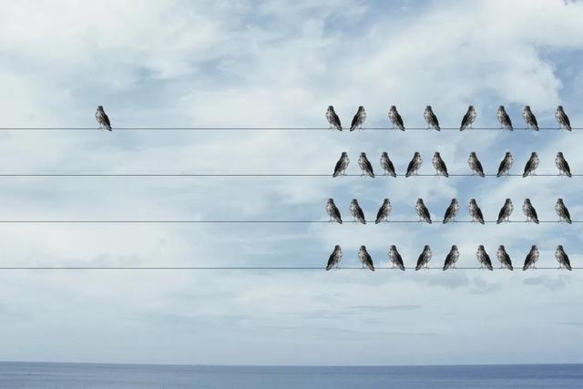 夏天的词语有哪些，关于夏天的四字词语有哪些（24个夏天的成语）