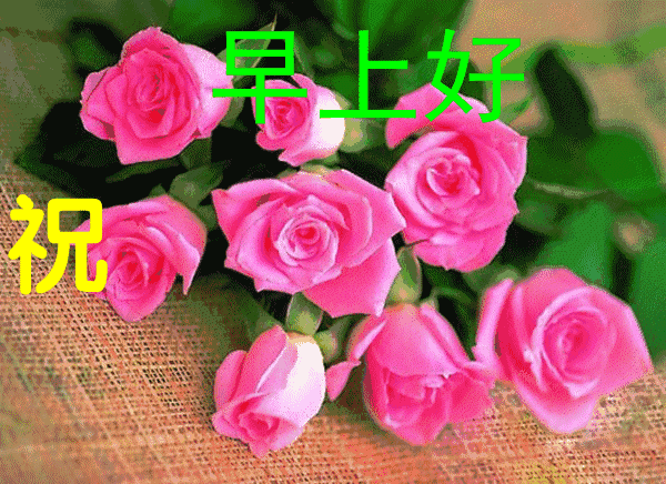 每日早安问候语，早安问候语暖心一句话（每日清晨最新早安问候语简短一句话致大家）