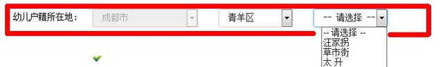 出生所在地怎么填写幼儿园，孩子的籍贯怎么填写（2020年成都市公益性幼儿园报名指南来啦）