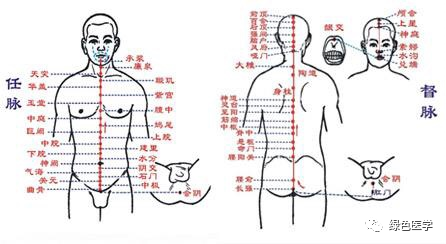 提肛一年后性功能，提肛一年后性功能肌肉不（学会了可随时随地养生）